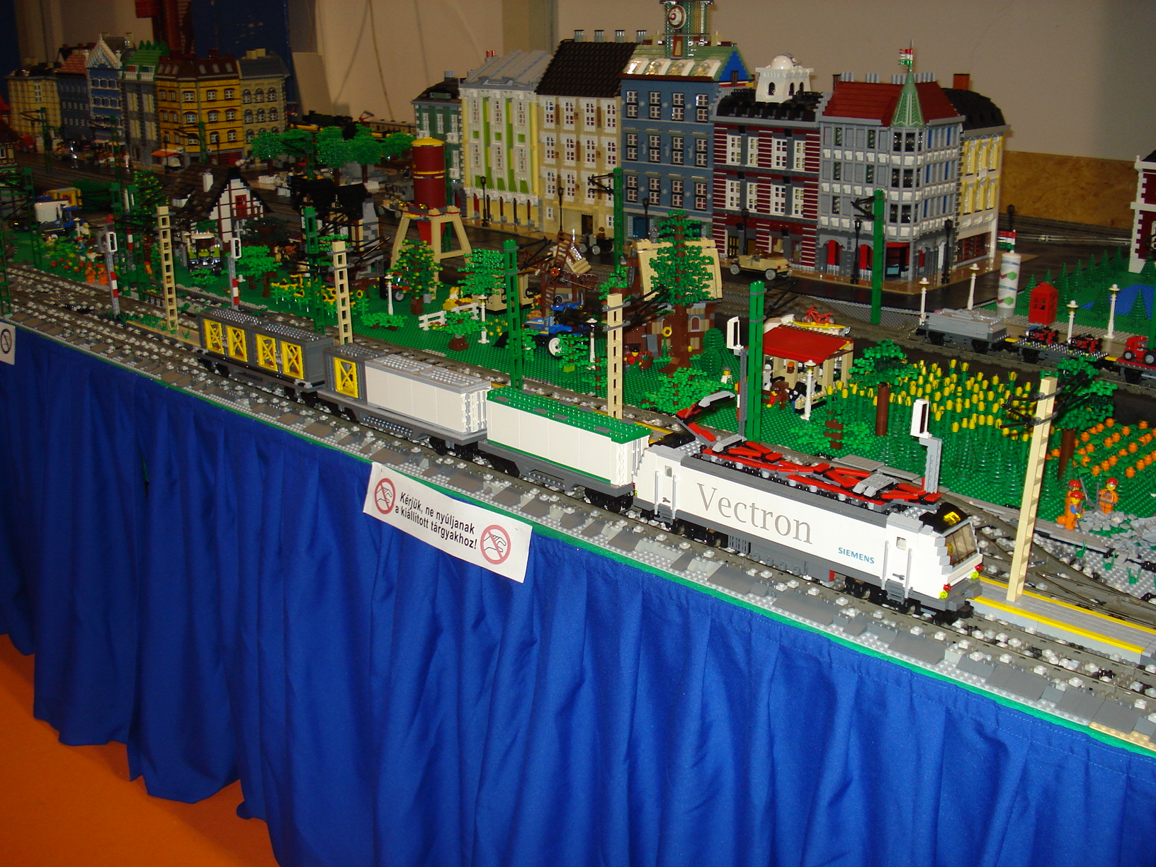 dsc08197.jpg