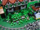dsc08144.jpg
