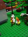 dsc08242.jpg
