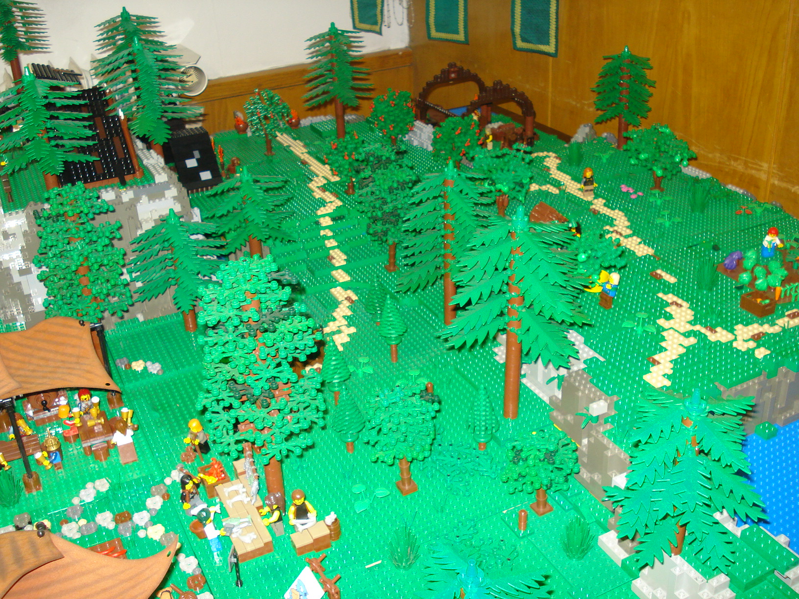 dsc02424.jpg