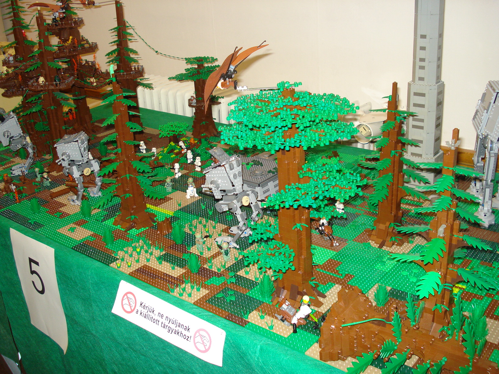 dsc02432.jpg