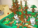 dsc02434.jpg