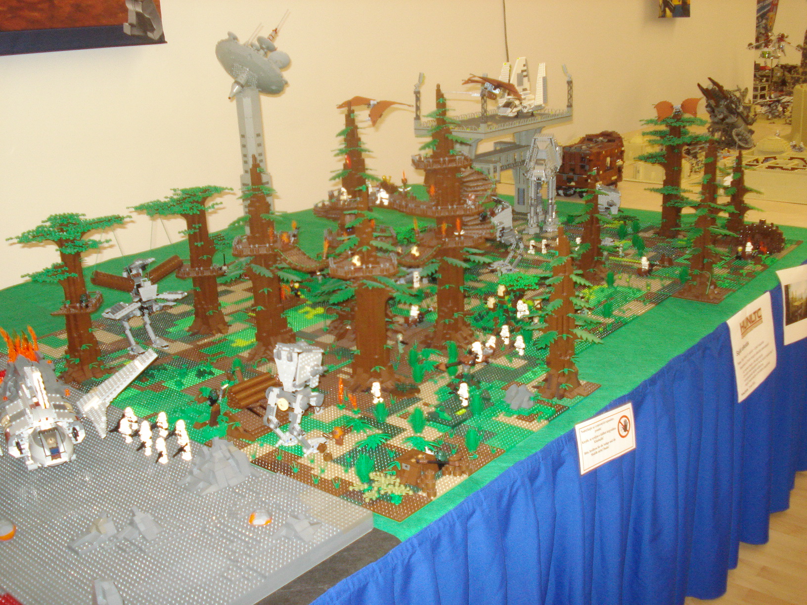 dsc04410.jpg
