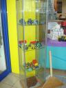 dsc04429.jpg