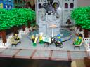 dsc06383.jpg