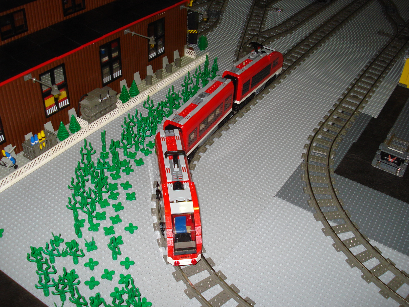 dsc05985.jpg