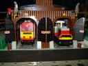 dsc05942.jpg