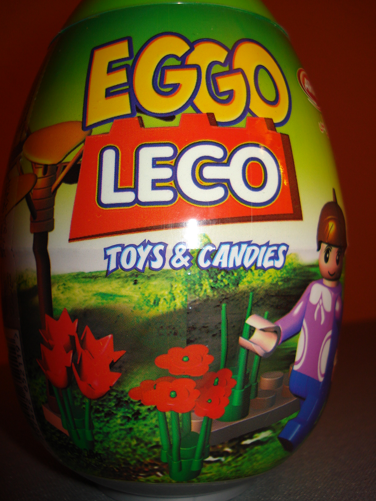 dsc06110.jpg