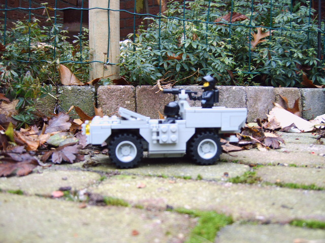 fotos_mam_004.jpg