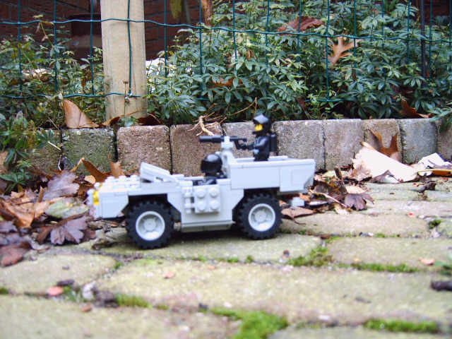 fotos_mam_005.jpg