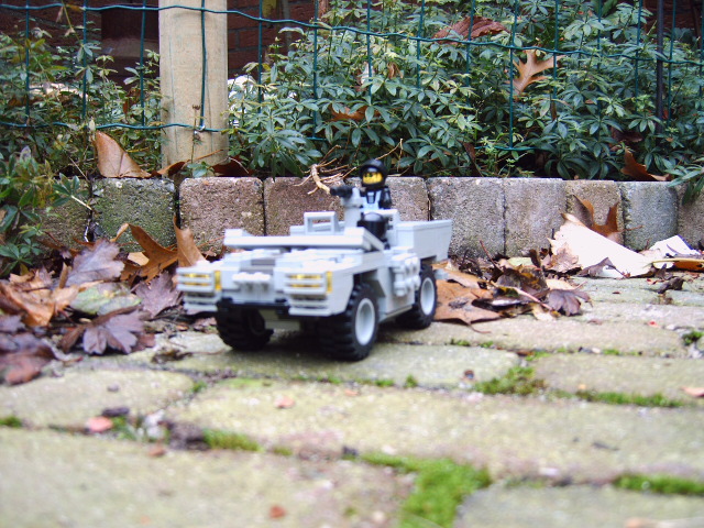 fotos_mam_006.jpg