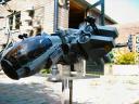 wasp1_032.jpg