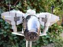 wasp1_038.jpg