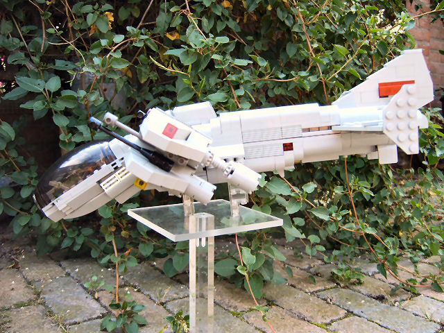 wasp1_001.jpg