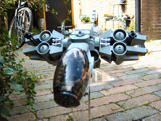 wasp1_002.jpg