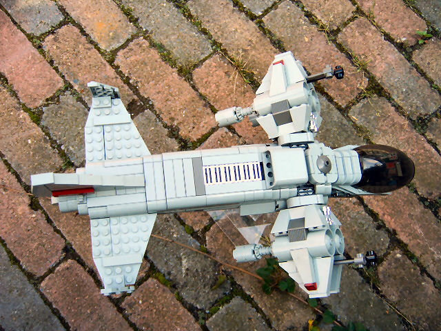 wasp1_005.jpg