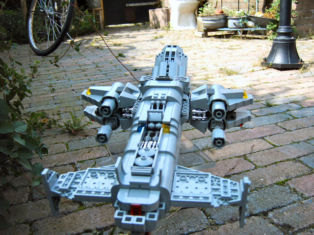 wasp1_006.jpg