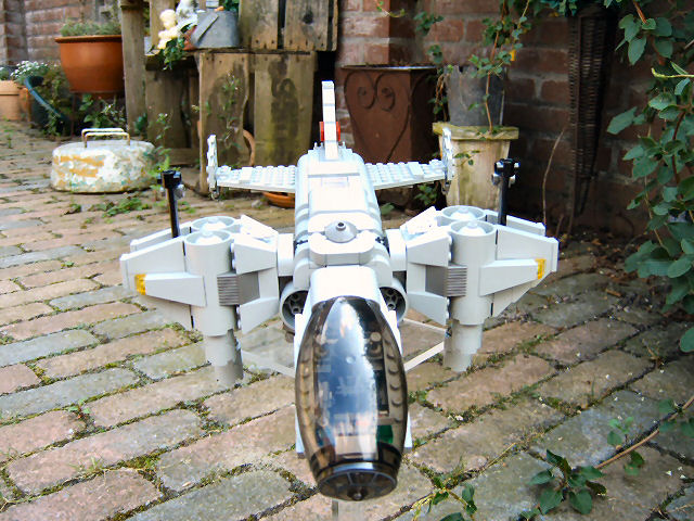 wasp1_019.jpg