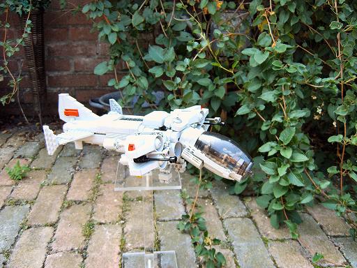 wasp1_024.jpg