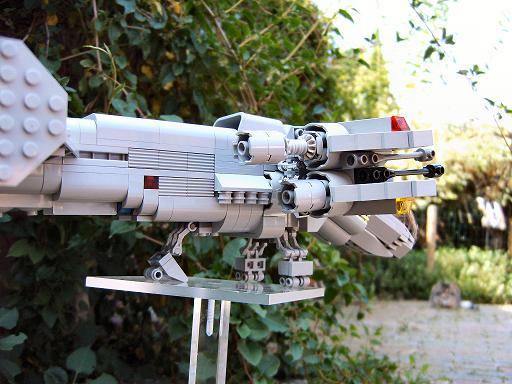 wasp1_026.jpg