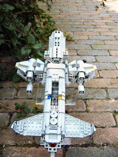 wasp1_030.jpg