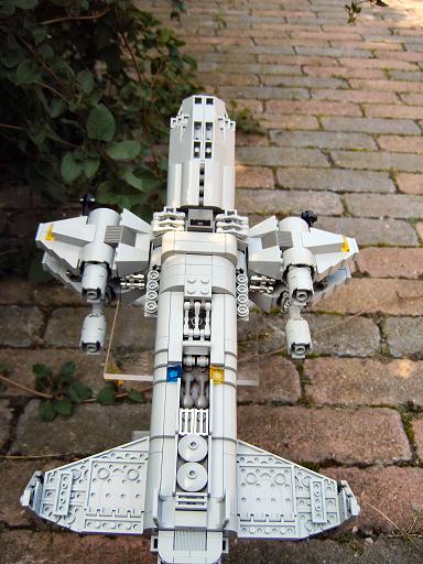 wasp1_031.jpg