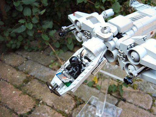 wasp1_033.jpg