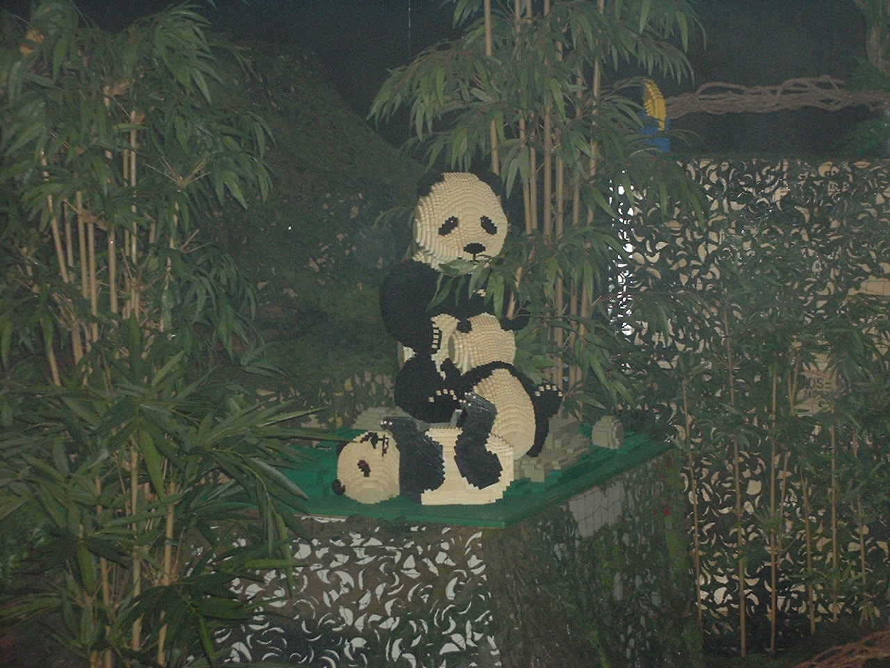 dscf0030.jpg