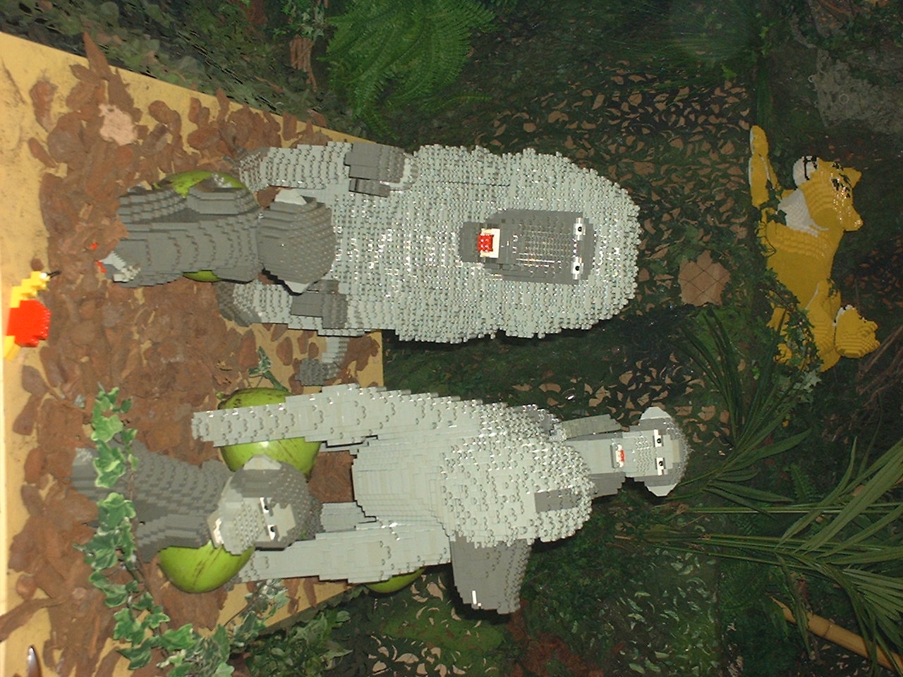 dscf0031.jpg