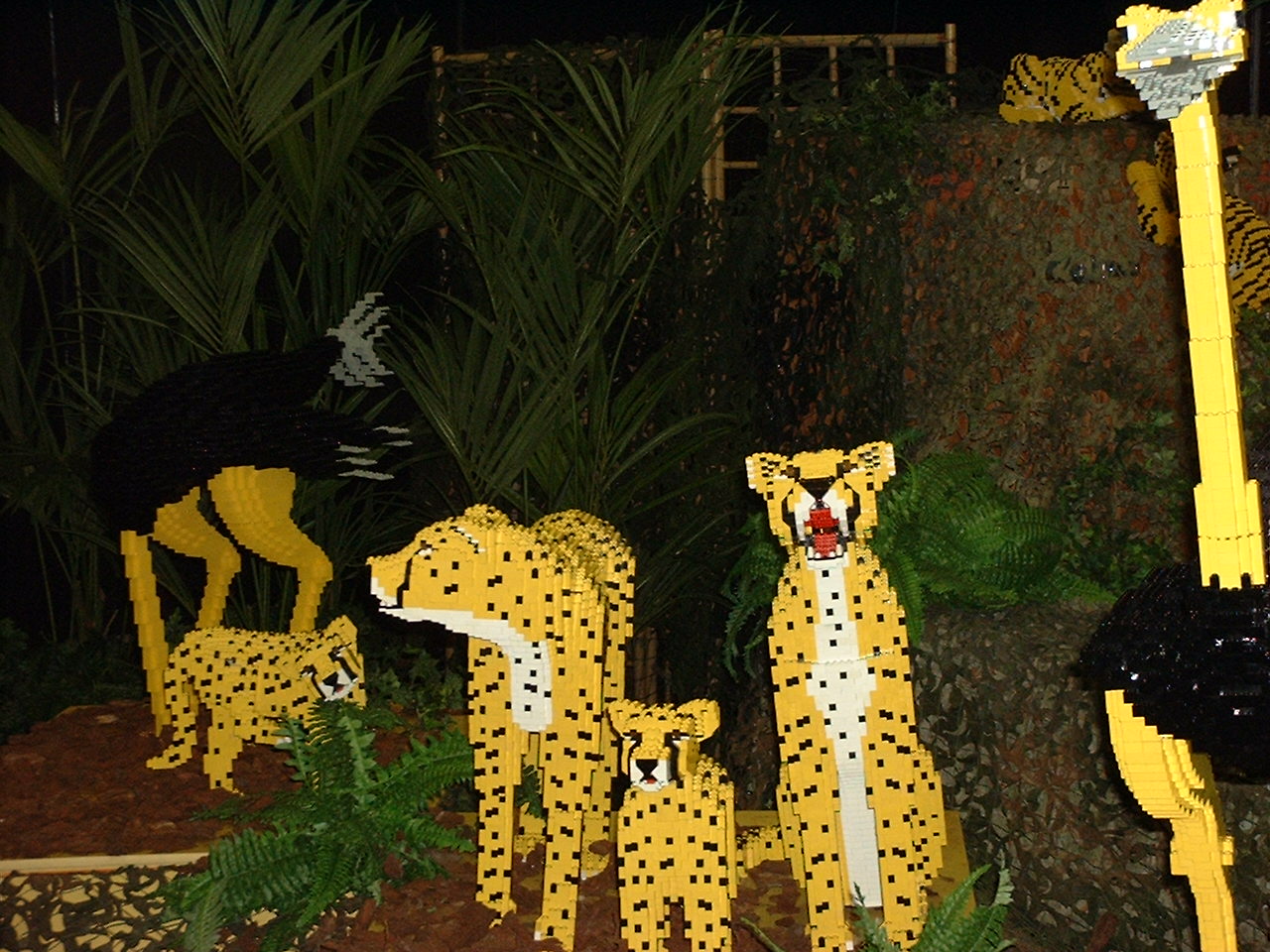 dscf0035.jpg
