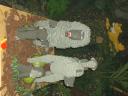 dscf0031.jpg