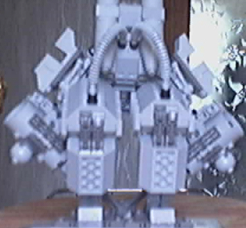 standard-back.jpg