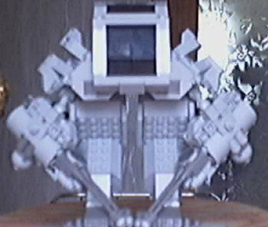 standard-guard.jpg