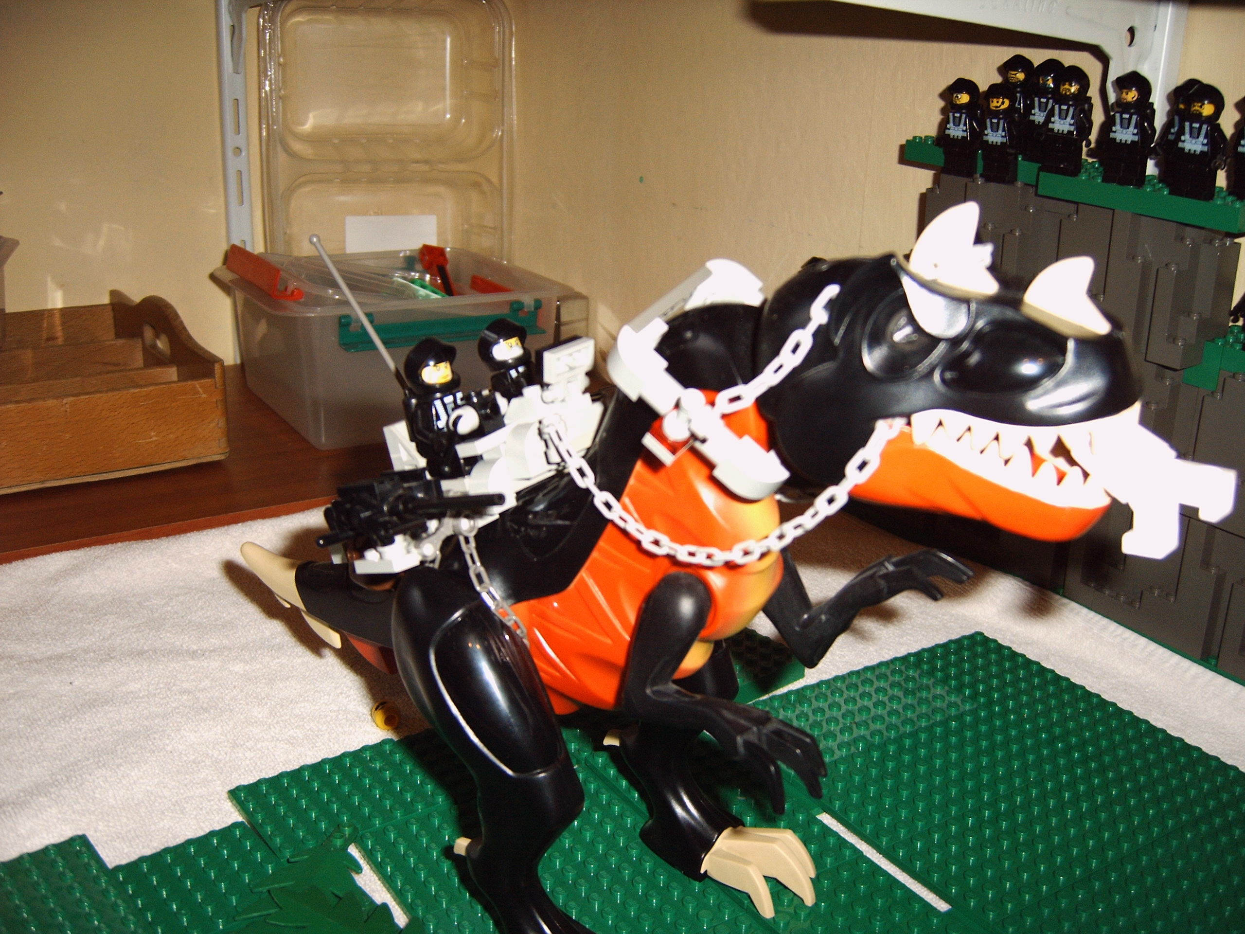 bt289_053.jpg