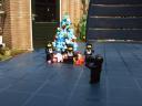kerstboom005.jpg