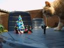 kerstboom006.jpg