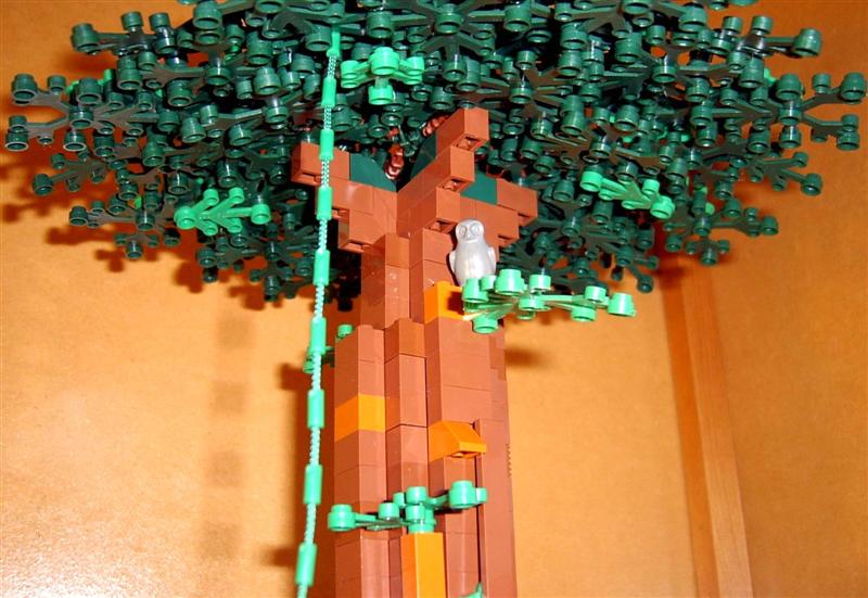 endor7medium.jpg