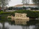 sdc10650.jpg
