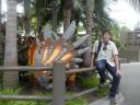 sdc10660.jpg