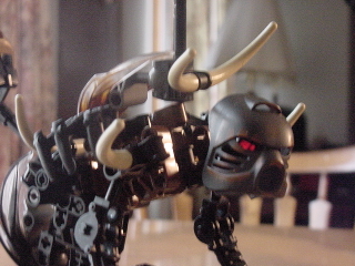 makuta-closeup.jpg