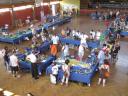 2009_06_28_0154_1_1.jpg