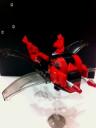 dragonfly05.jpg