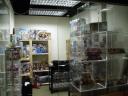 legoshop01.jpg