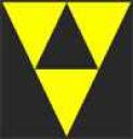 blacktron_yellow_triangle.jpg