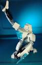 polar_mech_action.jpg