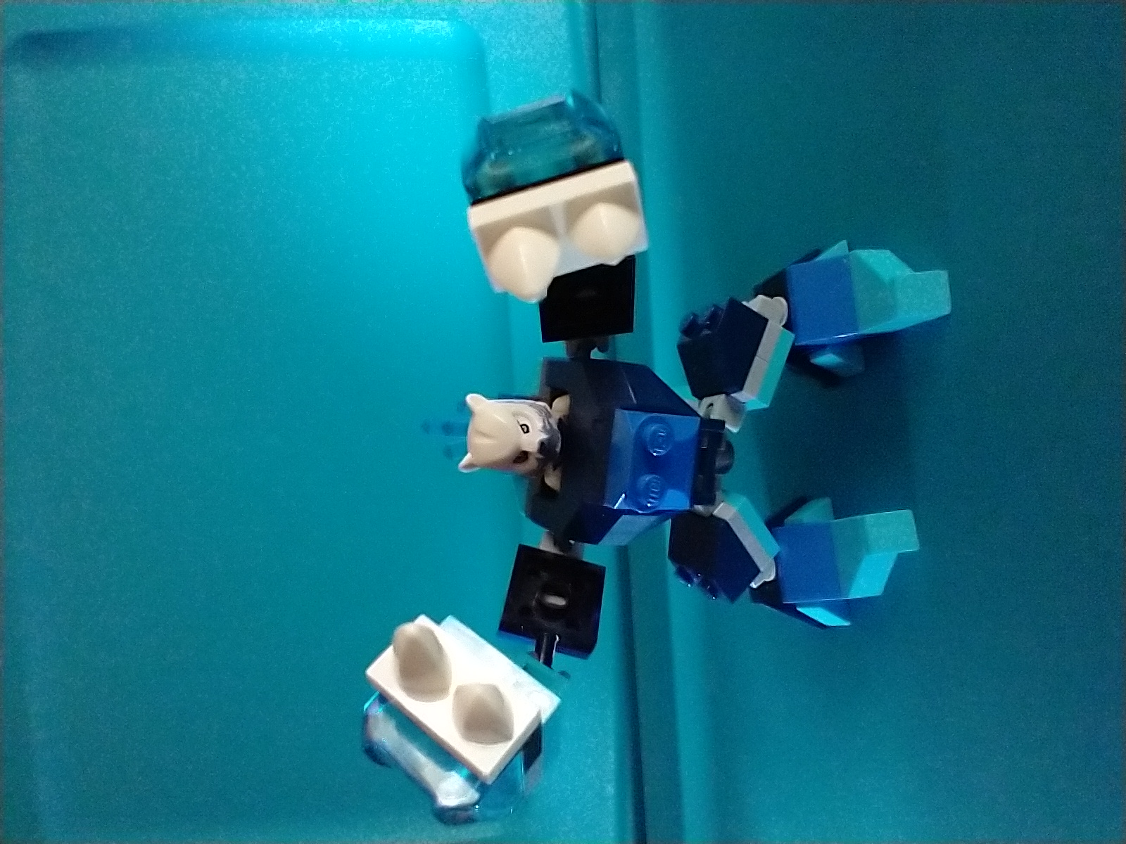 img_20210815_114341485.jpg
