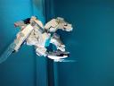 img_20210827_144616817.jpg