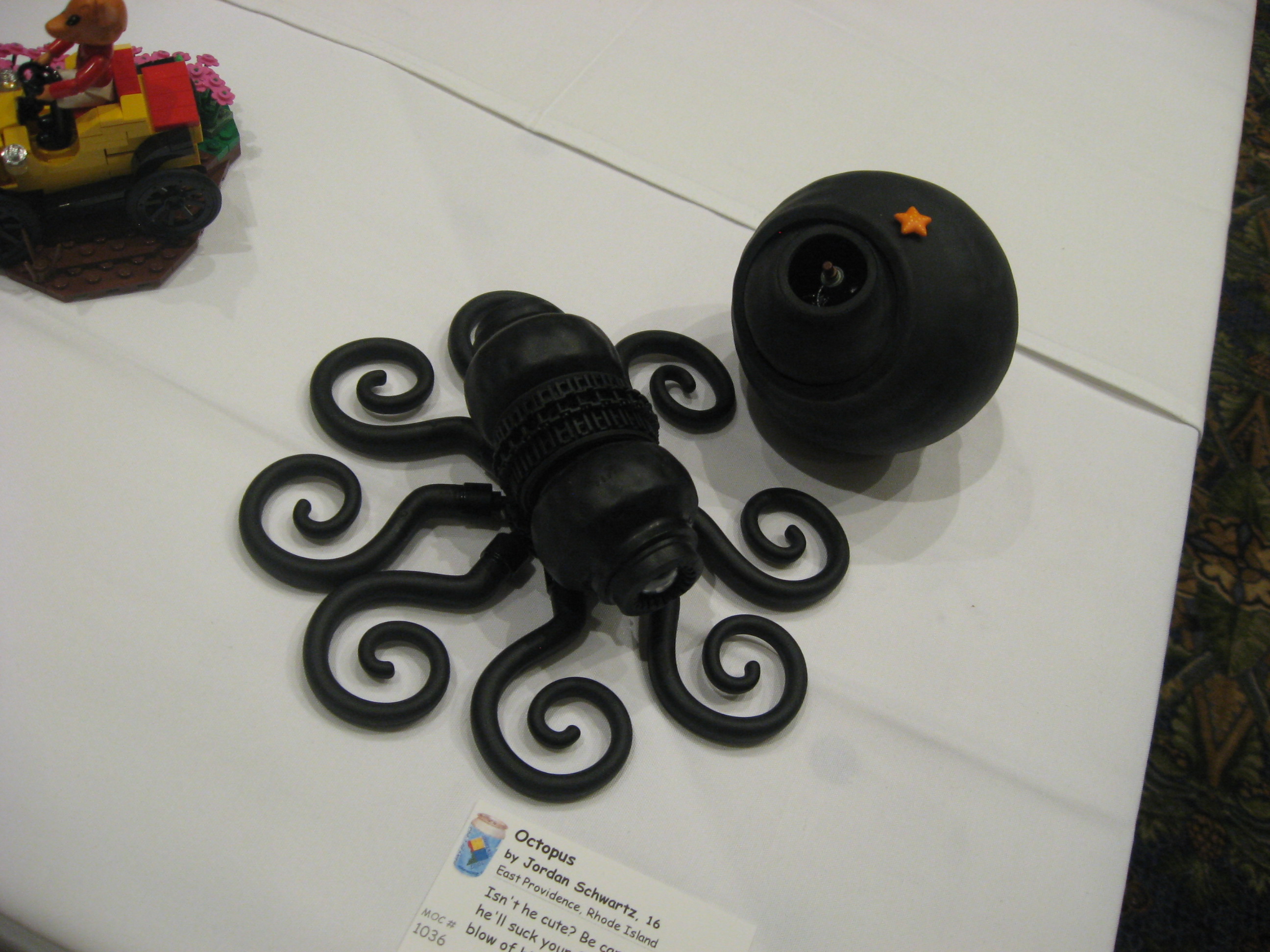 picture_011.jpg