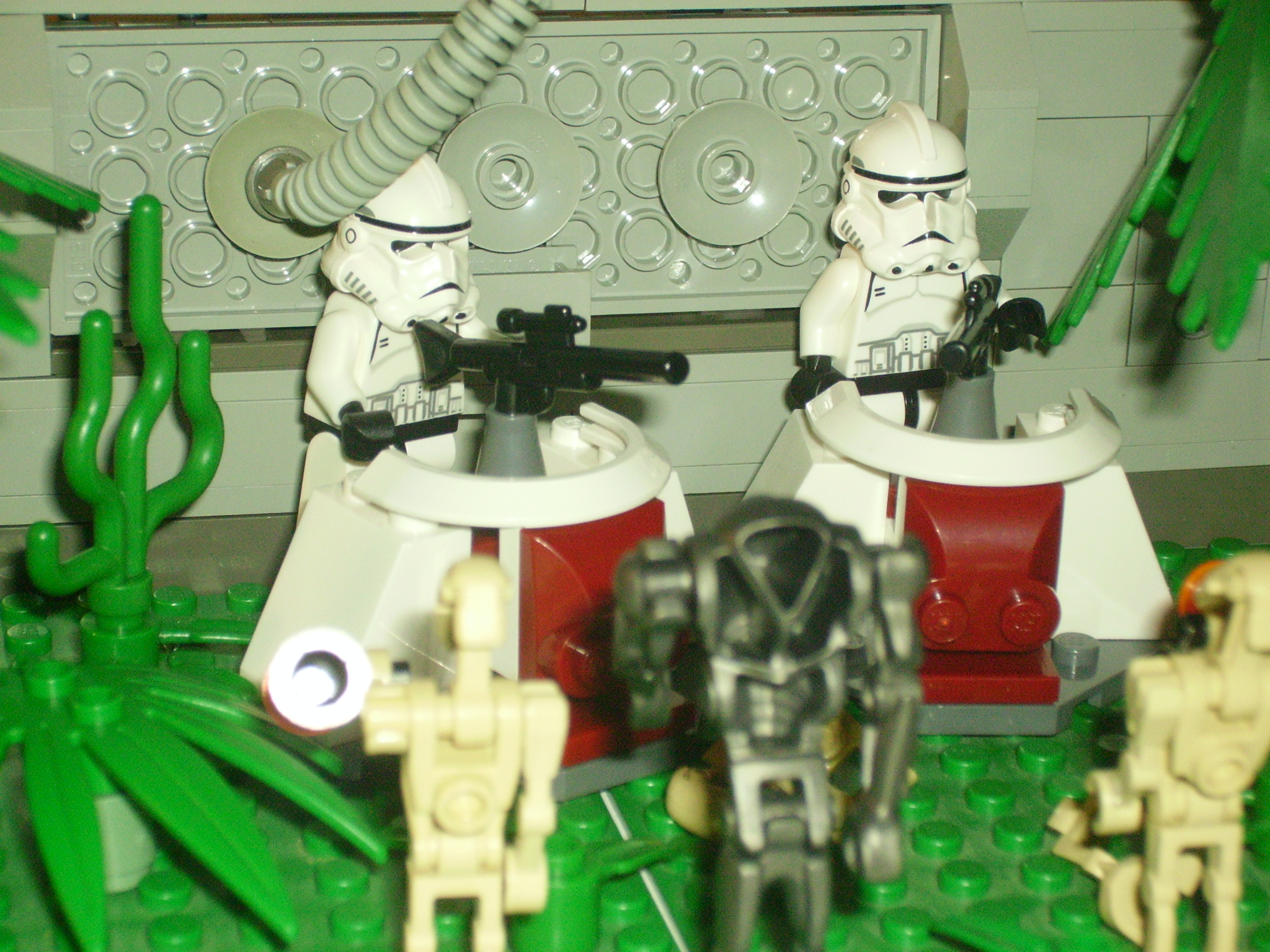 picture_237.jpg