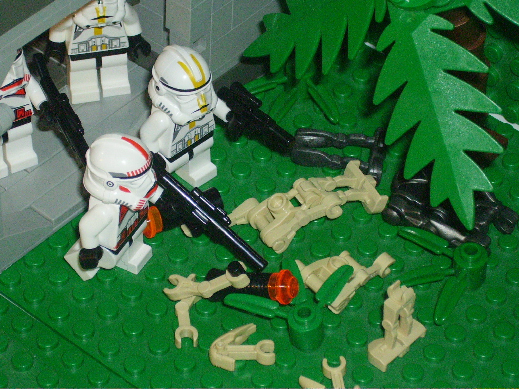 picture_238.jpg